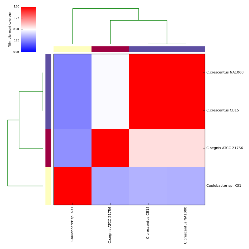 ANIm alignment coverage for *Caulobacter* test data