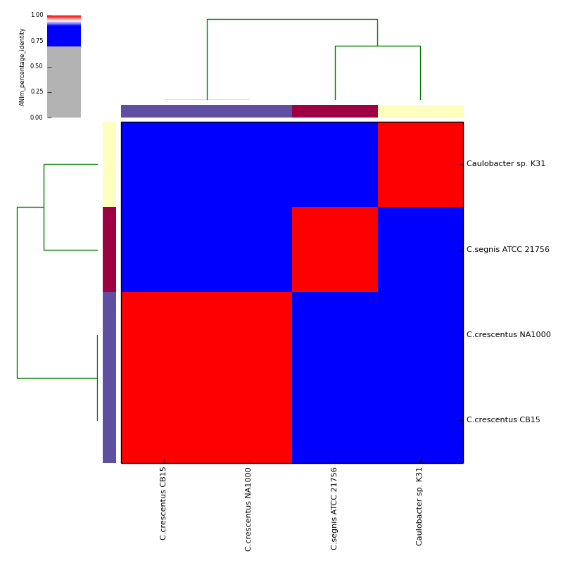 ANIm percentage identity for *Caulobacter* test data