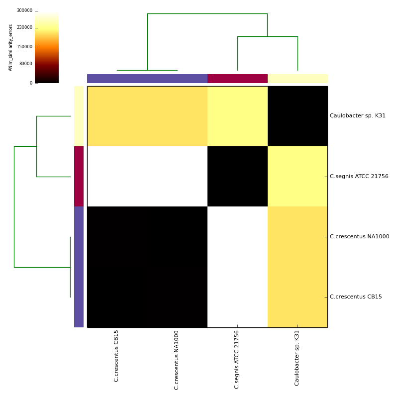 ANIm alignment similarity errors for *Caulobacter* test data